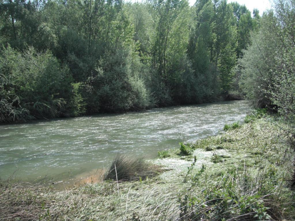 El Jardin De La Huerta Ξενοδοχείο Sahagún Εξωτερικό φωτογραφία